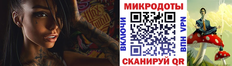 KRAKEN   что такое   Пересвет  Галлюциногенные грибы Psilocybe 